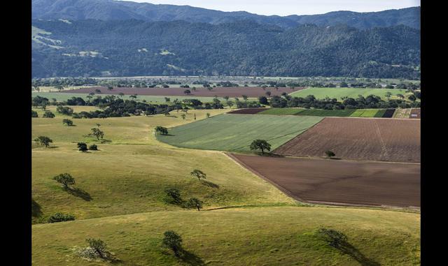 FOTO 7 | Un rancho en el Valle de Santa Ynez en California por US$ 34.25 millones. El Rancho Sanja Cota abarca más de 1,220 acres al norte de Santa Bárbara. La propiedad del interior es principalmente agrícola, pero debido a que se encuentra cerca de algunos de los bienes inmuebles de alta gama más solicitados de California, fue una oportunidad tentadora para que un comprador adinerado la convirtiera en una lujosa finca ecuestre de fin de semana. Es la venta más cara del condado de Santa Bárbara desde el 2008. Vendido por: Suzanne Perkins, Sotheby’s International Realty.