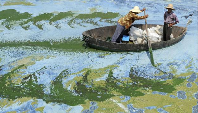 Una embarcación lucha por movilizarse sobre el lago de Chaohu, en Anhui. Para ‘DrinkingWater.Org’, la mitad del agua de China está contaminada. (Foto: Jianan Yu)