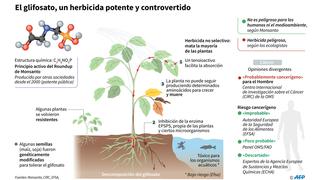 Monsanto, condenada a pagar USD 2,000 millones en nuevo juicio por herbicida Roundup