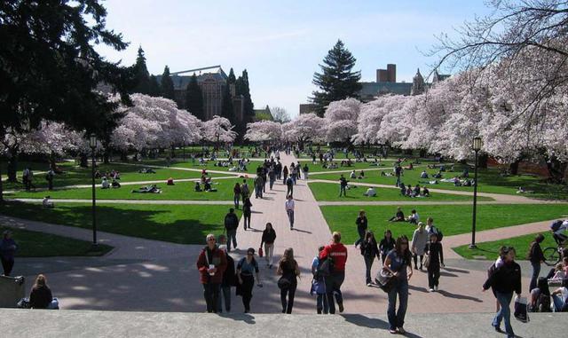Universidad de Washington. Localizada en Seattle, obtiene una puntuación de 81,8.