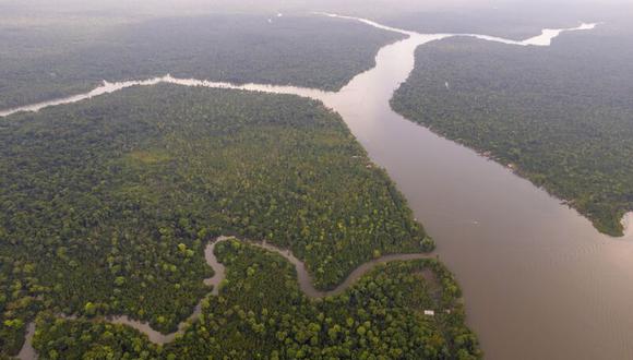 Se busca que miles de hectáreas de bosques amazónicos se salven. (Foto: Difusión)