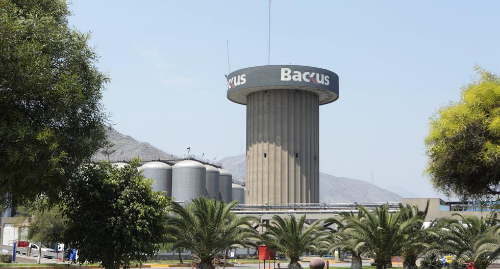 Cervezas | Backus | Backus: Sergio Rincón asumirá la gerencia general ...