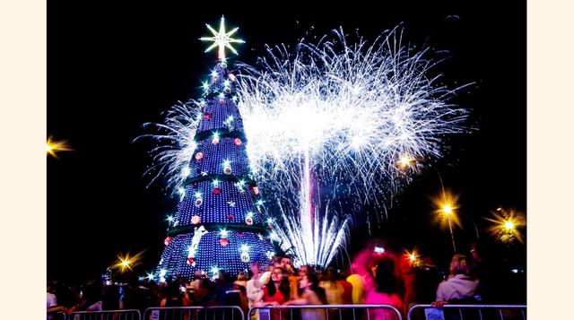 Sao Paulo, Brasil. Las luces de Navidad iluminan el árbol de 35 metros en el parque Ibirapuera, el 26 de noviembre.