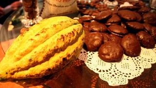 Informe de WWF vincula industria chocolatera suiza con deforestación en países como Perú y Ecuador