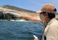 Derrame de petróleo: playas de Huaura no evidencian presencia de hidrocarburos