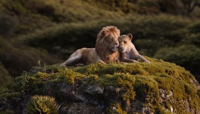 "El Rey León" supera los mil millones de dólares de recaudación en todo el mundo. (Foto: Disney)