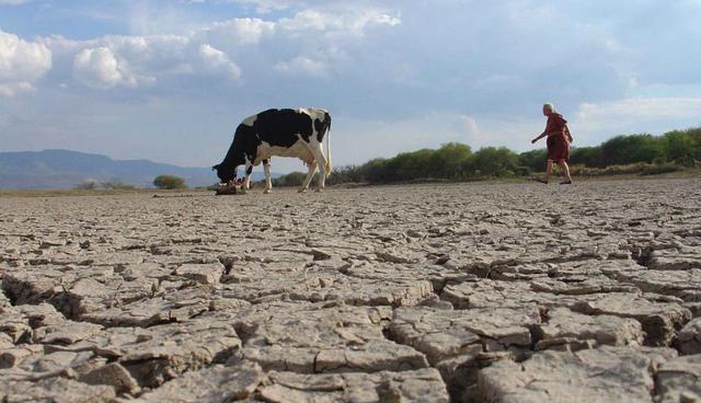 FOTO 4 | Actividad económica interanual. La aceleración de la inflación y el alza en las tasas de interés impactaron sobre la actividad económica del país. Pero, además de los efectos de la tormenta financiera, Argentina ha sido golpeada por elementos que sobrepasan su control. Durante el verano austral las principales regiones agrícolas del país fueron azotadas por la peor sequía de las últimas décadas, que provocó severas pérdidas en las cosechas de soja y maíz, productos que constituyen la columna vertebral de los ingresos del país. Con el impacto de la sequía en el sector agrícola, la economía se ha contraído en los últimos tres meses y economistas creen que el país se encamina hacia una recesión. En junio, la economía retrocedió un 6.7%, la peor caída interanual desde la crisis financiera mundial del 2009. (Foto: EL país financiero)