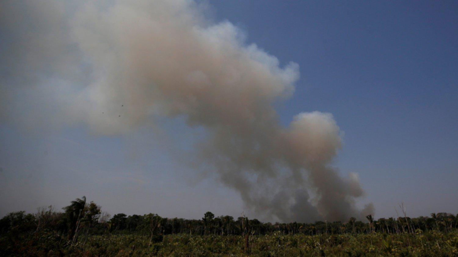 Para el proyecto conjunto propuesto por Colombia, el país suramericano “ya tiene muy buenos resultados en la lucha contra la deforestación”, dijo el ministro. (Foto: Reuters)