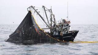 Pesca exploratoria se inició hoy al restablecerse condiciones para apertura de puertos