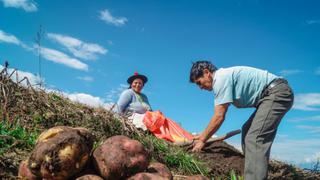 Fertiabono 2: Más 97,000 pequeños productores ya cobraron el subsidio