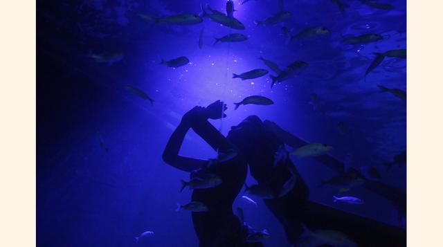 En el quinto nivel se encuentra toda la maquinaria y los equipos que mantienen el funcionamiento de las instalaciones y que se han traído desde Alemania y Estados Unidos. (Foto: Reuters)