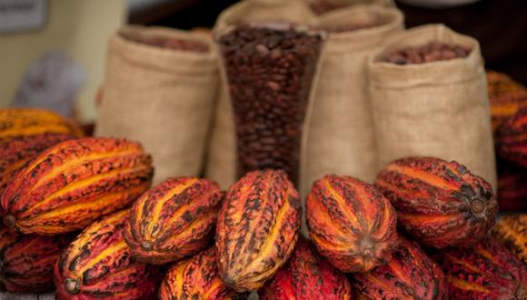 FOTO 13 | Cacao: debido a su gran calidad, fue incluido en la lista en el 2013. (Foto: andina)