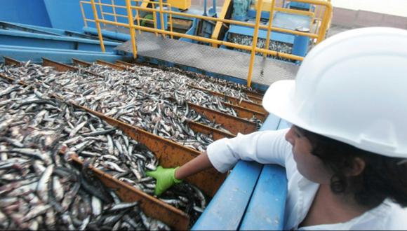 El sector pesca registra una fuerte caída este año.