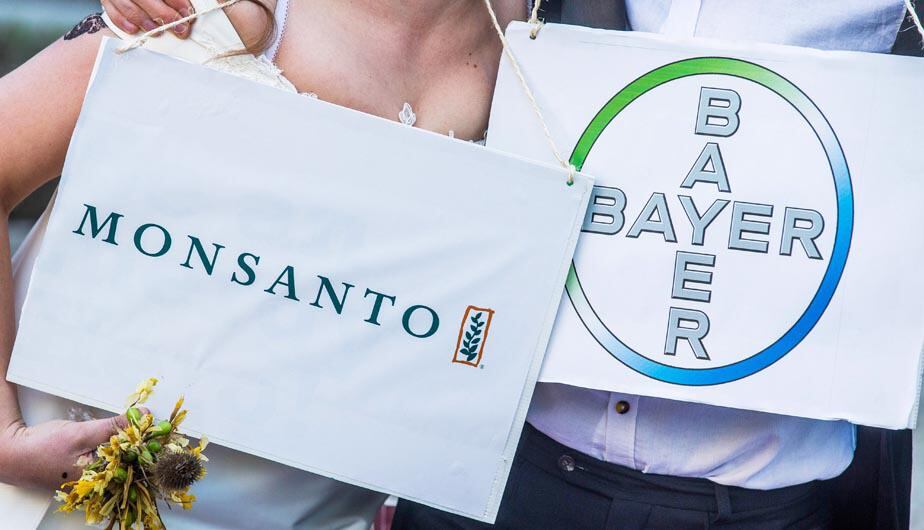 Dese hace dos años Bayer tiene otro litigio en curso en Estados Unidos, el más importante por esta cuestión, en el que miles de demandantes le atacan por los presuntos efectos cancerígenos de los herbicidas de Monsanto, entre ellos el Roundup. (Foto: EFE)
