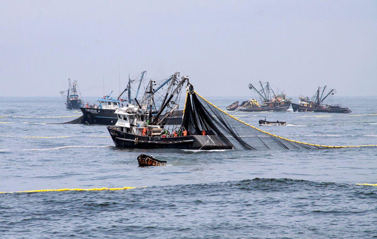 La industria de productos pesqueros creció 152.8%. (Foto: Produce)