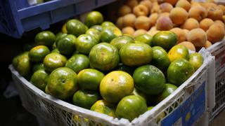 Procitrus: mandarinas peruanas llegarían este año a Japón y la India 