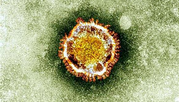 El nuevo coronavirus llamado 2019-nCoV es más mortal que la gripe, pero menos virulento que las epidemias precedentes de coronavirus: SRAS y MERS. (Foto: AFP/Agencia Británica de Protección de la Salud)