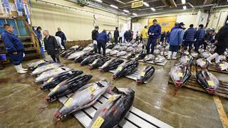Un atún supera los US$ 600,000 en la primera subasta del año en Tokio