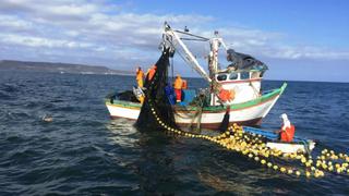 Ministerio de la Producción: capacitan y empoderan a mujeres que trabajan en sector de la pesca artesanal