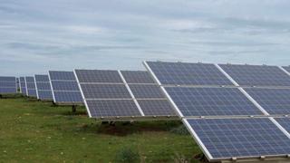 Abejas, cultivos y ovejas: otros beneficios de energía solar