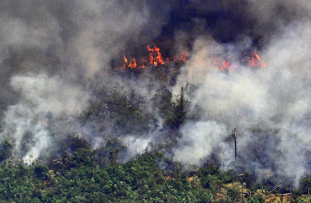 Incendio en Amazonas. (Foto: AFP)
