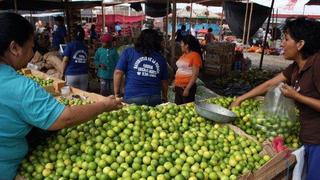 Midagri: Precio de limón comienza a bajar por recuperación de ingresos y stocks 