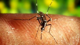 Zika: ¿Cuánto le costaría el tratamiento a un peruano que tenga los síntomas?