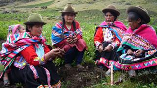 Junín encabeza regiones con mayor empleo generado por programas Sierra y Selva Exportadora