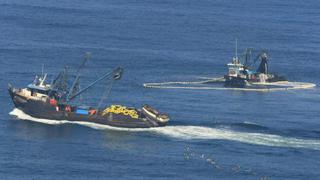 Pesca de anchoveta quedará suspendida desde mañana en diversas zonas del mar peruano