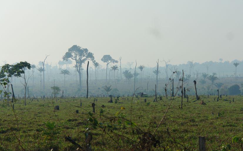 El proceso contó con el apoyo financiero del gobierno de Noruega en el marco de la Declaración Conjunta de Intención, un acuerdo de pago por resultados firmado por Perú, Noruega y Alemania. (Foto: Carbon Decisions International/Flickr)