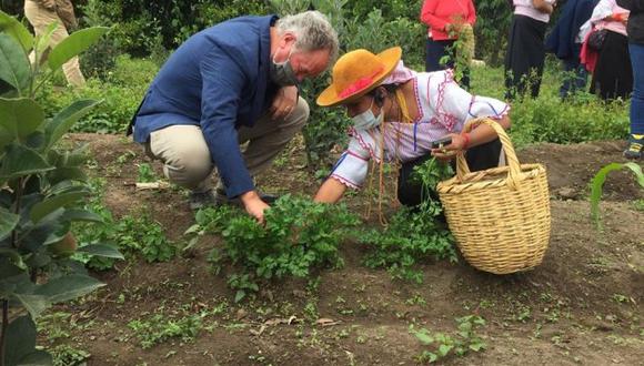 David Beasley, director ejecutivo del Programa Mundial de Alimentos (WFP, por sus siglas en inglés). (EFE)