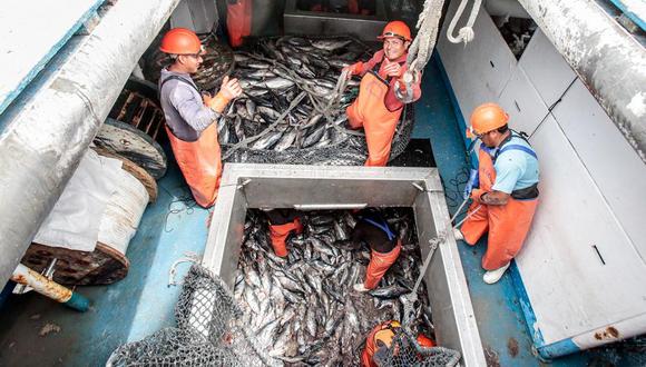 Certificados cumplen con los cambios regulatorios del sistema de documentación de capturas pesqueras efectuadas por la Agencia de Pesca del Ministerio de Agricultura, Forestal y Pesca del Japón. (Foto: Produce)