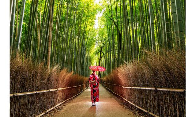 FOTO 3 | El bosque susurrante. Uno de los paseos más sugerentes en Kioto (Japón) es el del bosque de bambú de Arashiyama, en el distrito de Sagano. El lugar es muy visitado, por lo que conviene llegar pronto, mejor al amanecer, cuando el sol se filtra ent