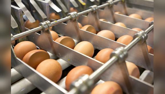 La planta de Ovosur en Chorrillos tiene una capacidad de procesar un millón y medio de huevos al día en promedio. (Foto: Ovosur).