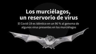 Los murciélagos, un reservorio de virus