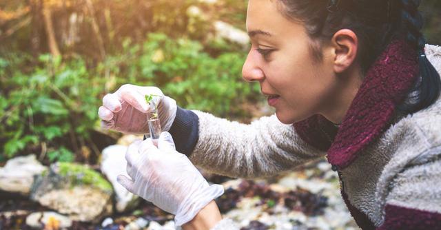 FOTO 10 | 10. Investigación correlacional (Foto: iStock)