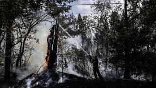Estabilizado el gran incendio que quemó miles de hectáreas en oeste de España