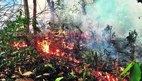 Los incendios se han generado en los departamentos de Tolima y Cundinamarca (centro), Huila (sur), y Valle del Cauca y Cauca (suroeste), detalló la UNGRD en un comunicado. (Foto referencial: EFE)