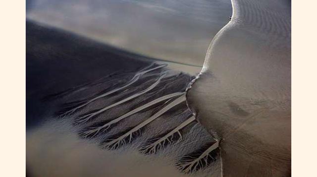 Anchorage, Alaska, Estados Unidos. Las mareas más famosas de Alaska tienen lugar en Turnagain Arm, a las afueras de Anchorage, donde las olas alcanzan los tres metros de altura. Las temperaturas suele rondar los 4ºC. También es un gran destino para ver be