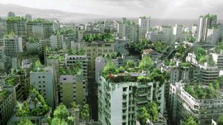 Miraflores: Ordenanza promueve construcción de edificaciones con techos verdes