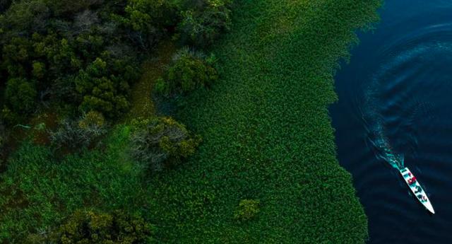 FOTO 4 | Biodiversidad única en el planeta. (Foto: AFP)