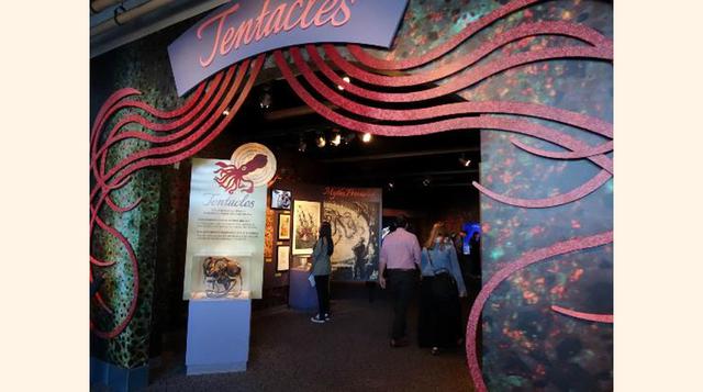 Monterrey Bay Aquarium, Monterrey, California. “Me encantaron las medusas”.
