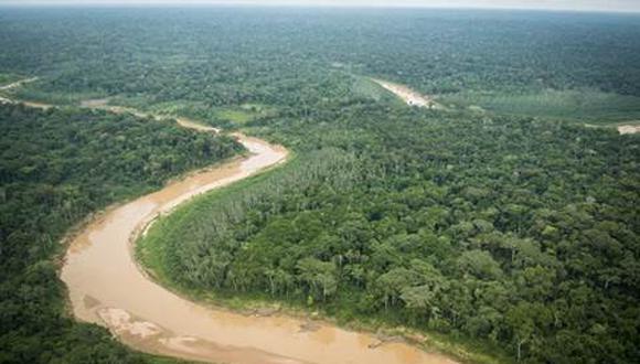 Según los datos oficiales, la deforestación en la Amazonía cayó desde 7,869.7 kilómetros cuadrados entre enero y setiembre del 2019 hasta 7,063.1 kilómetros en el mismo período en el 2020 y hasta 7,010.5 kilómetros en los nueve primeros meses de este año. (Foto: Difusión)
