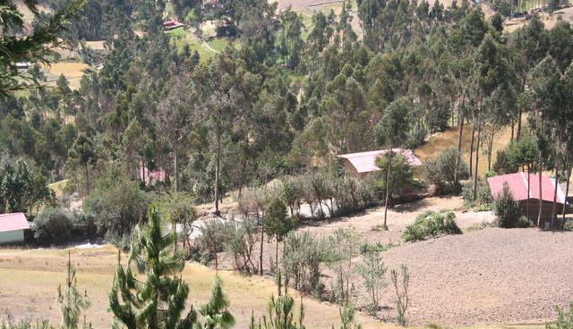 FOTO 7 | Predios rurales: 2.    Parte notarial de la escritura pública que acredite el dominio sobre el predio con la debida autorización del notario para su presentación ante la Sunarp, y que tenga una antigüedad mínima de cinco años.