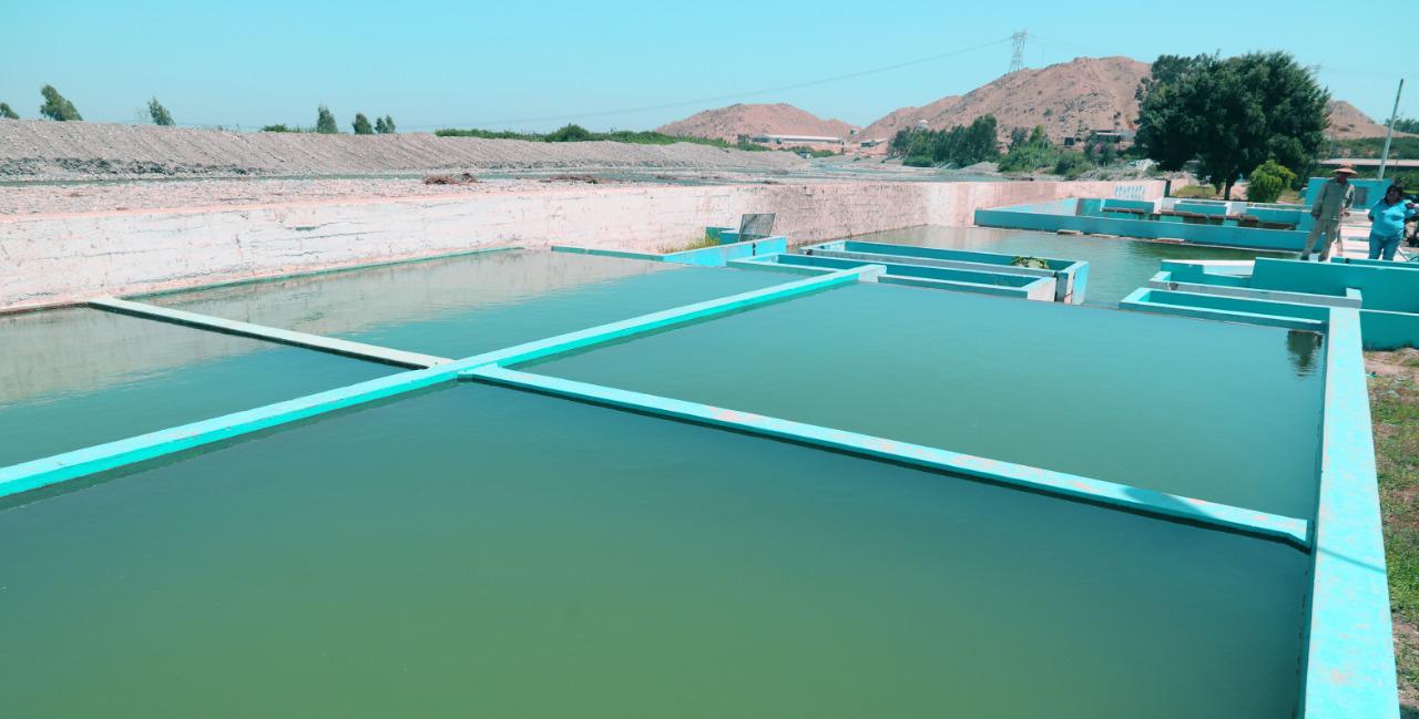 Planta de agua potable (Foto: Difusión)