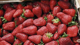 Fresa, granada, cereza y pitahaya: frutas con mayor potencial exportador