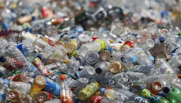 Napper decidió esclarecer cómo de sostenibles eran en realidad las bolsas de plástico que se anunciaban como biodegradables y averiguar también cuánto tardaban en desintegrarse. (Foto: En difusión)