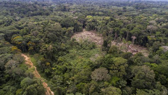 Deforestación de Amazonía peruana. (Foto: Difusión)