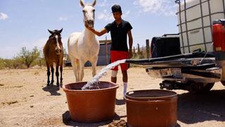 “Necesitamos lluvia”: agricultores mexicanos, devastados por sequía en el norte