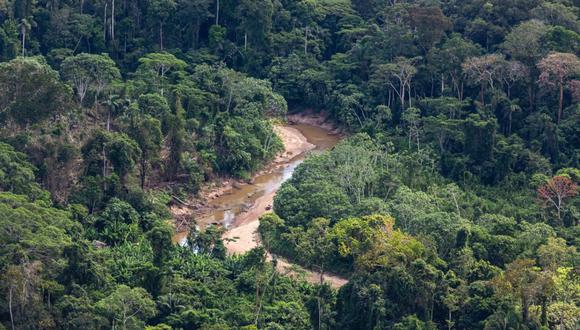 Guardabosques o guardaparques de concesiones de bosque amazónico, en Madre de Dios, patrullan a diario sus territorios.